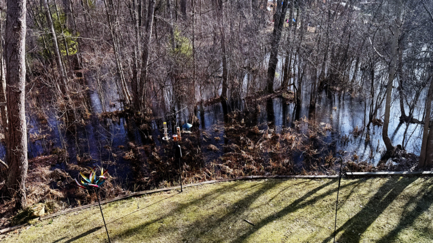 out back this morning