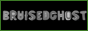 BRUISEDGH0ST.COM