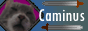 Welcome to CAMINUS