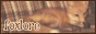 foxlore ༉‧₊˚