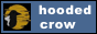 visit hooded crow