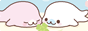 the place where seals reside!