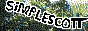 simplescott's homepage
