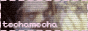 josea homepage